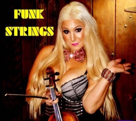 Soulful String Samples FUNK STRINGS WAV